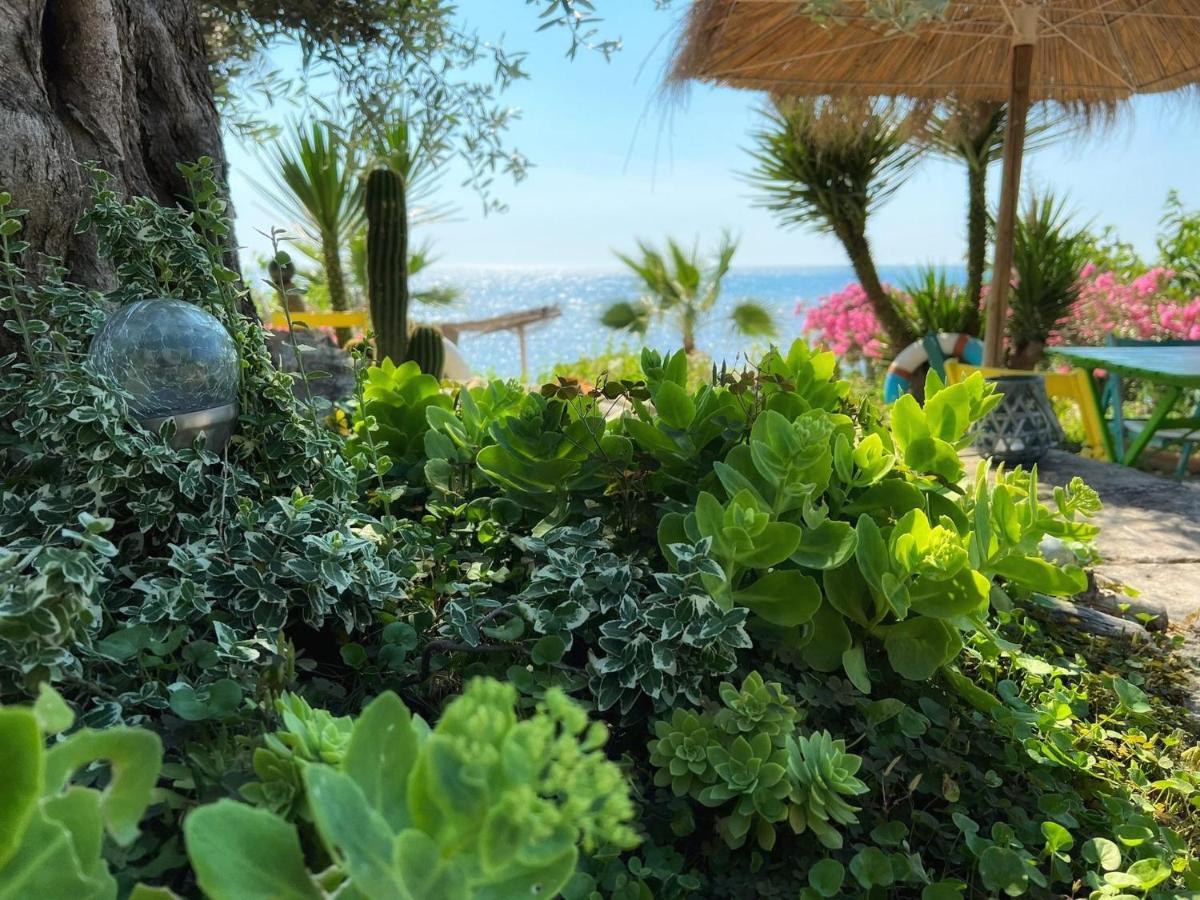 דורס Kallmi View Eco Rooms מראה חיצוני תמונה
